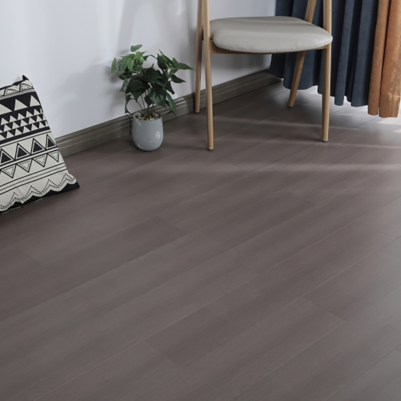 357 番龙眼 悦见潮流