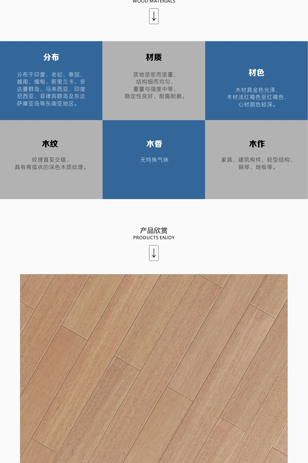 lorem ipsum dolor sit