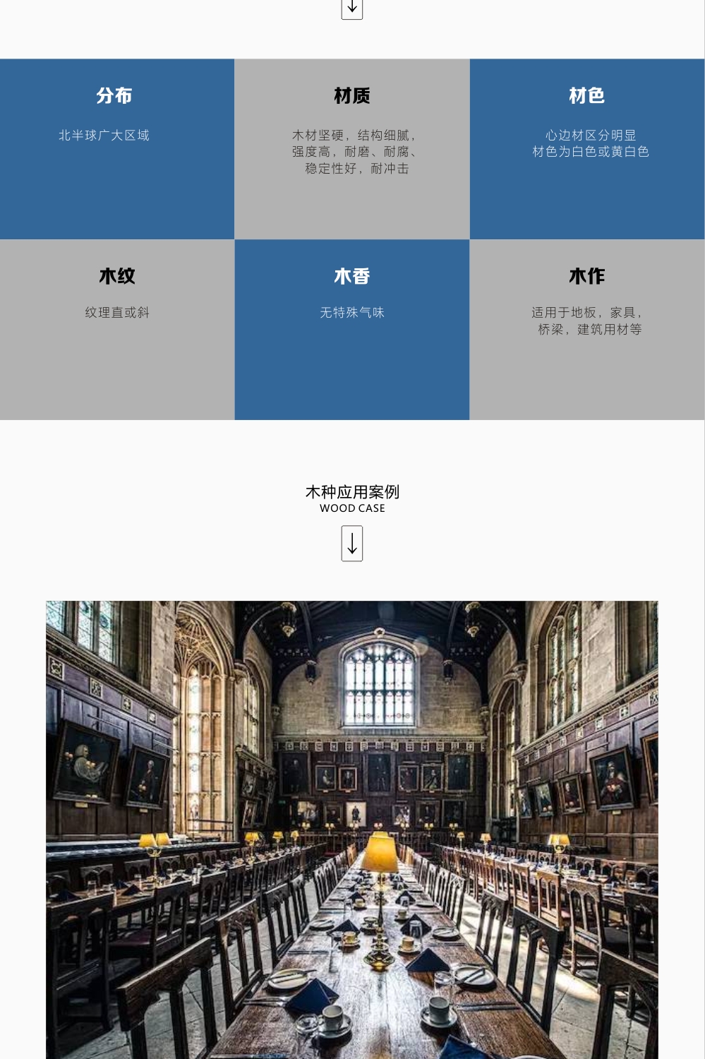 lorem ipsum dolor sit