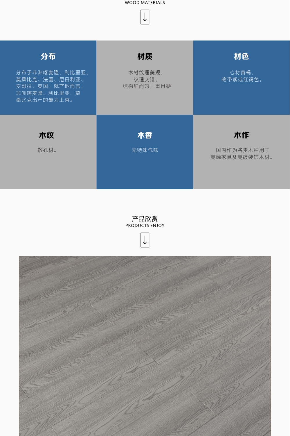 lorem ipsum dolor sit