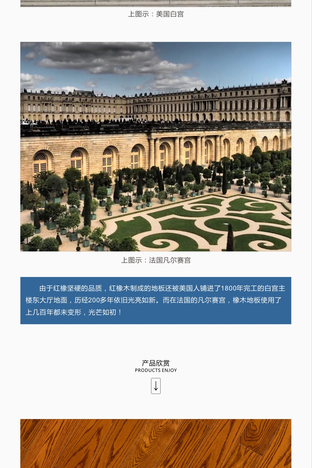 lorem ipsum dolor sit