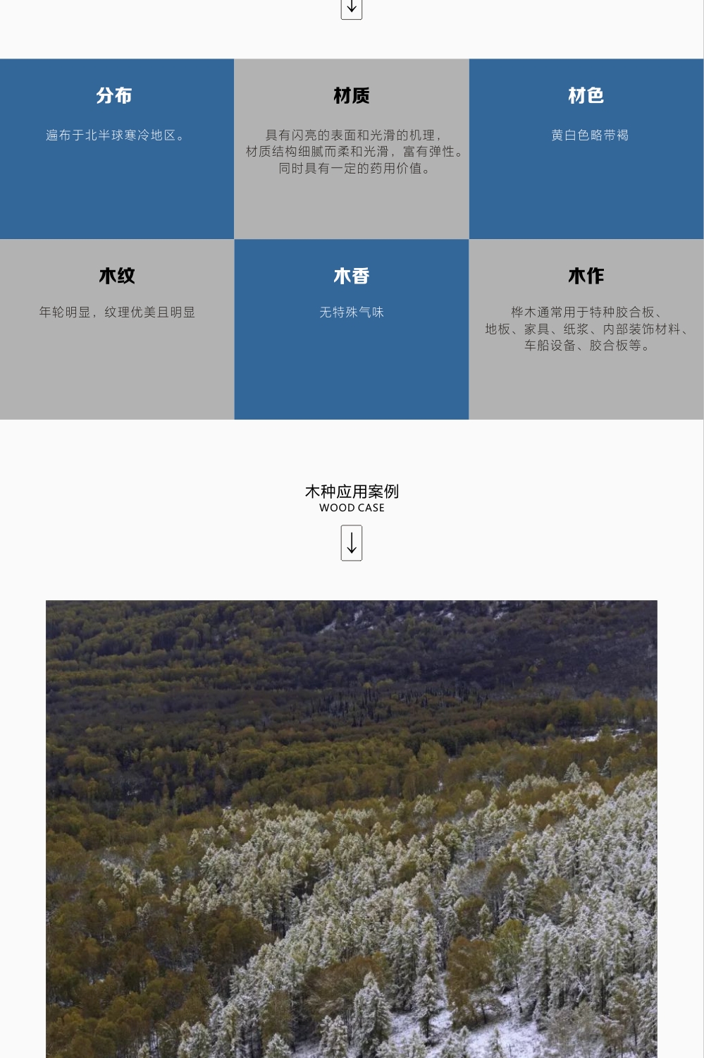 lorem ipsum dolor sit