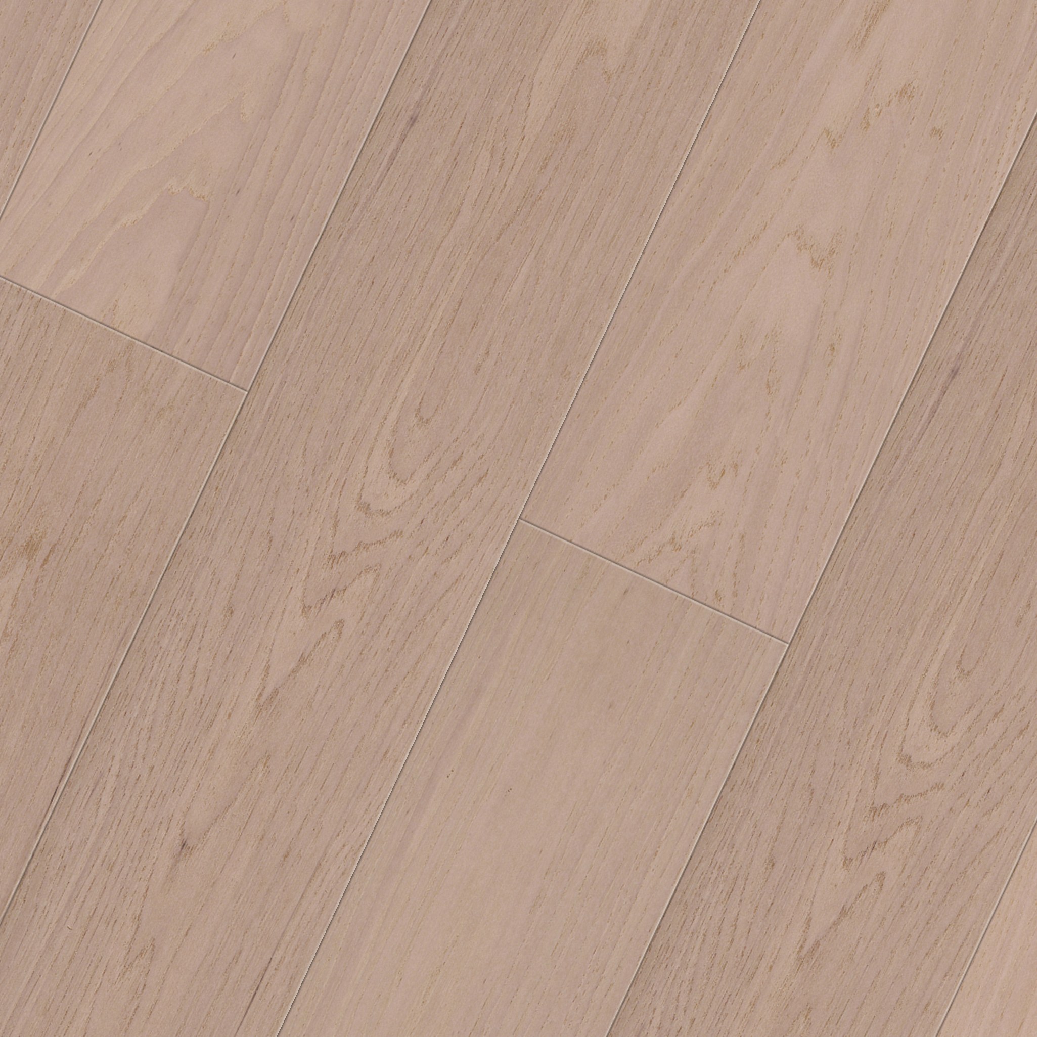 山核桃 SC-D-502 温暖视觉