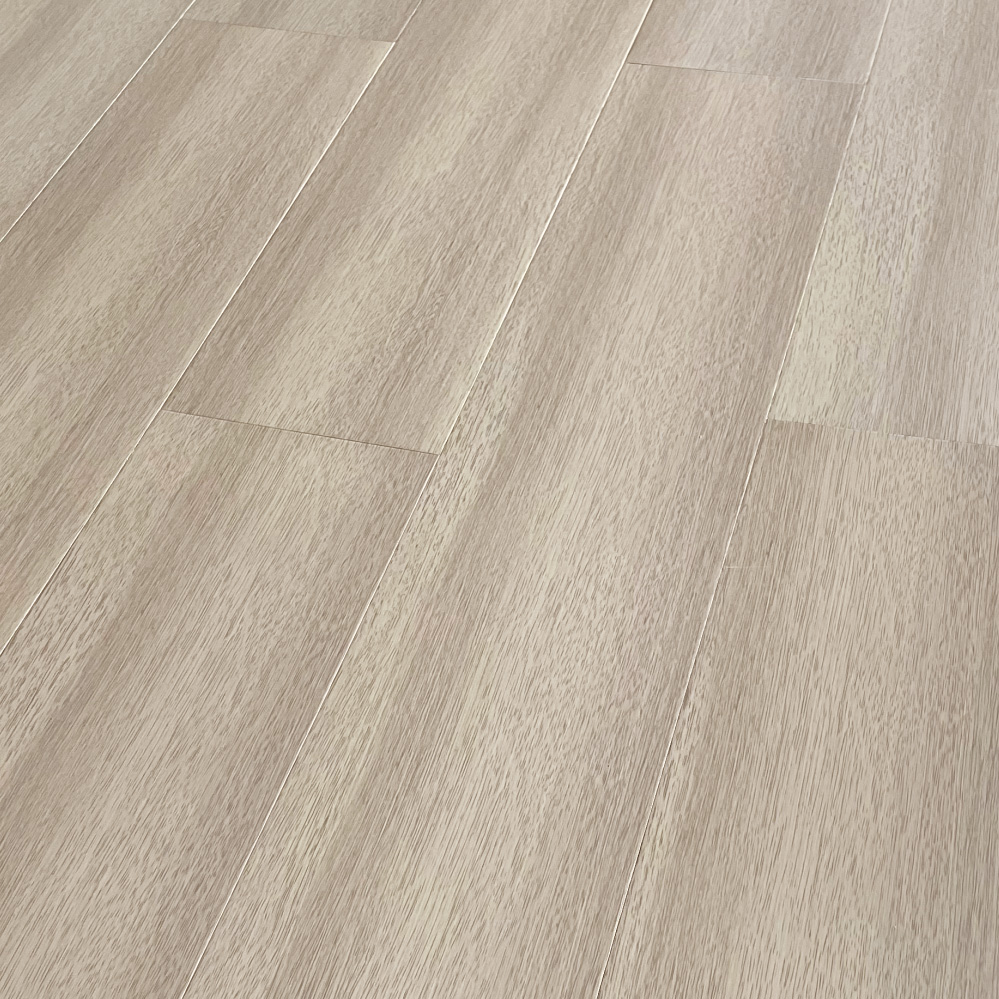 SC-501 榉木 晨曦